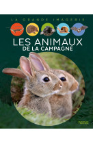 Les animaux de la campagne