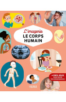 Le corps humain