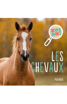 Les chevaux