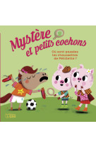 Mystere et petits cochons - ou sont passees les chaussettes de petillette