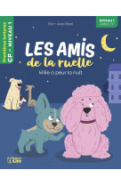 Les amis de la ruelle milie a peur la nuit cp niveau 1