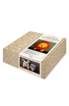 Coffret animaux au crochet