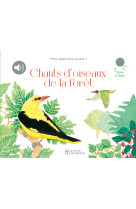 Chants d'oiseaux de la foret