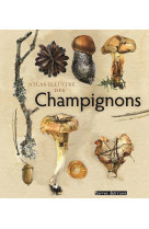 Atlas illustre des champignons