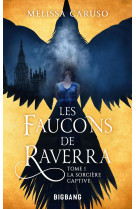 Les faucons de raverra t1 la sorciere captive