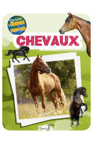 Chevaux