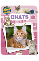 Chats