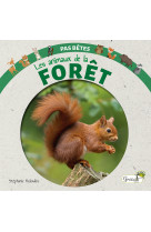 Les animaux de la foret