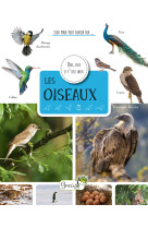 Les oiseaux