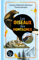 Les oiseaux des montagnes