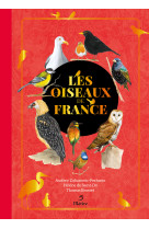 Les oiseaux de france