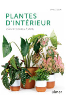 Plantes d'interieur