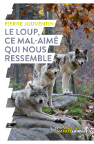 Le loup, ce mal-aime qui nous ressemble