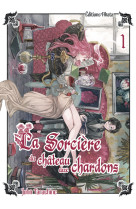 La sorciere du chateau aux chardons - t01