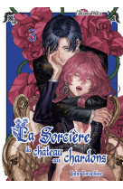 La sorciere du chateau aux chardons - tome 3