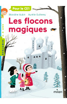 Les flocons magiques