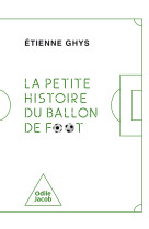 La petite histoire du ballon de football