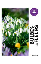 Bulbes a fleurs - petite encyclopedie du jardin