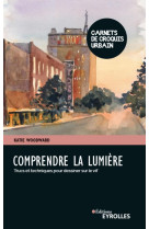 Comprendre la lumiere - trucs et techniques pour peindre sur le vif