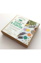 Kit je t'offre des fleurs a planter