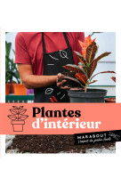 Plantes d'interieur