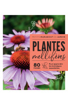 Plantes melliferes