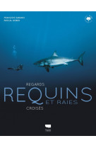 Requins et raies. regards croises