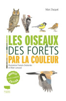 Les oiseaux des forets par la couleur