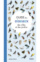 Oiseaux des villes et des jardins urbain