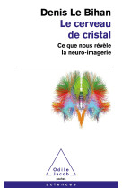 Le cerveau de cristal