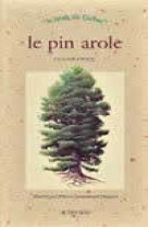 Pin arole (le)