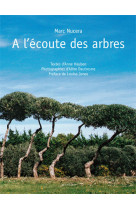 A l'ecoute des arbres