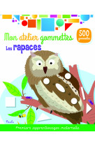 Les rapaces - mon atelier gommettes