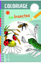 Coloriage les insectes