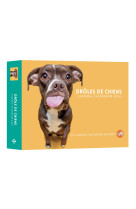 Agenda calendrier droles de chiens