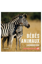 Calendrier mural bebes animaux 2024