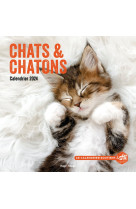 Calendrier mural chats et chatons 2024