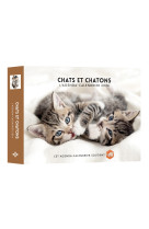 Agenda calendrier chats et chatons