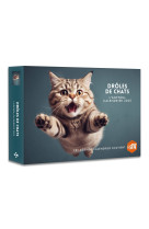 Agenda - calendrier droles de chats 2025