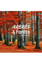 Calendrier mural arbres et forets 2022