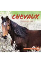 Calendrier mural chevaux 2022