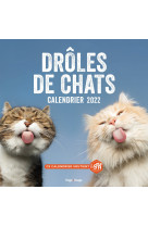 Calendrier mural droles de chat 2022