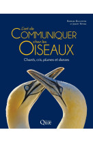 L'art de communiquer chez les oiseaux - chants, cris, plumes et danses