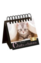 365 jours chats et chatons  - calendrier g o