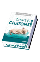 Calendrier chats et chatons en 365 jours - l'annee a bloc