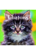 Chatons - calendriers 2023