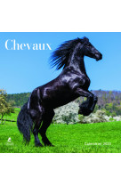 Chevaux - calendrier 2023