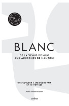 Blanc - ca, c'est de l'art - de la venus de milo aux achromes de manzoni