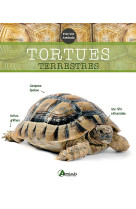 Tortues terrestres