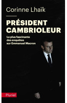 President cambrioleur - enquete sur emmanuel macron